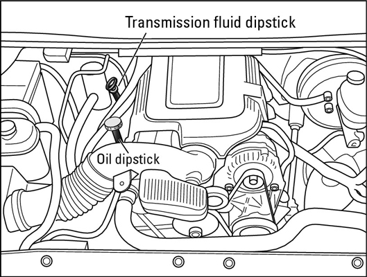 How to Check the Transmission Fluid in a Car